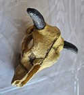 Old Buffalo Skull Scarf Or Neckerchief Slide Or Rodeo Western Cowboy Use