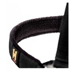 Horseware Ireland Newmarket Adjustable Halter   Lead Rope Set - Colors   Sizes