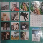 2 Pack   2026 Kittens 12  X 12  Wall And Mini 6  X 6  Cats 12 Month Calendars