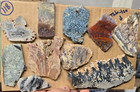 Assorted Plume   Moss Agates  Trimmed Cabochon Slabs Preforms  10 Pcs  Flat 118