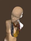 Beautiful African-american Half Mannequin   beautiful Face  Kaufmann   s Pittsburgh