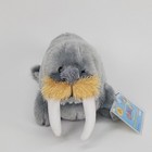 Ganz Webkinz Walrus Hm332 Nwt New With Tags Unused Code Plush Stuffed Animal Toy