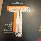 New York Times Style Magazine November 16 2025 Sharon Core s Choux Au Craquelin