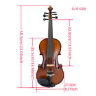 6 String Violin 4 4 Acoustic Violin Maple Spruce Hand Made Ebony Parts With Case