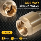 One Way Brass Check Valve  1-1 4  Npt Male In  Fnpt 1 25 Inches 