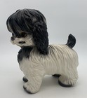 Shih Tzu Dog Bank Mcm Kitsch Vintage Chalkware Black White  Plaster Coin Bank 9  