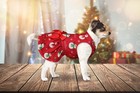Dog Christmas Dress Dog Christmas Costumes Girl Snowman Stretchy Pet Dress Fu   
