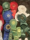 2000s Various Ribbon Lot 50american Kennel Club Field Trial Il Wi 2004 Hunt