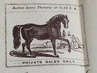 1901 Letterhead R L Clapp Horse Exchange Auction Springfield Mass 8x10 Letter