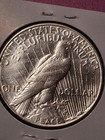 1928-p Peace Silver Dollar  Almost Unc      360 000 Mintage  Key Date  