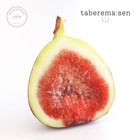 Japanese Fake Food Fig Half Cut Realistic Food Sample Replica Display Japan