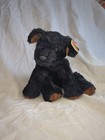 Ty Beanie Buddies Black Pepper Plush Puppy Stuffed Animal 1996 New With Tag Pvc