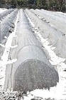 Agfabric Floating Row Crop Cover Freeze Protection 6x25ft 0 9oz Frost Blanket