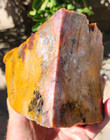 Mojave Desert Moss Plume Agate Faced Rough 5 x4 5 x3 5  6 3 Pounds See Video
