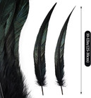 Ihufeather Natural Rooster Tail Feathers 50pcs 10-12inch Long Rooster Coque Tail