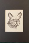 French Bulldog Head - Matted   Framed   Ready To Gift - 1963 Vintage Dog Print