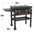 Blackstone 2-burner 28  Propane Flat Top Grill With Hard Cover  Black