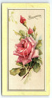 C1900 Bissell Sweeper Cyco Carpet Sweeper Advertising Bookmark Trade Card P1956