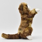 Hansa Dark Brown Kitten 26 Bh5041 New Realistic Plush Animals From Japan