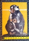 How To Draw Animals By Walter Foster  Book  12  Foster Art Service Inc 