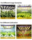 Spider 4000w Most Efficient Led Grow Light Bar Full Spectrum Commercial Led Lamp