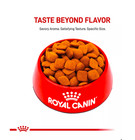 Royal Canin Breed Health Nutrition Golden Retriever Adult Dry Dog Food  30-lb