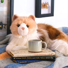     New Douglas Cuddle Toy Stuffed Soft Plush Ragdoll Cat Fluffy Fur Kitten Kiki