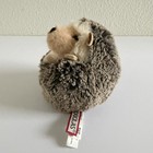 Douglas Cuddle Toys Spunky The Hedgehog  4101 Plush Stuffed Animal 5  Nwot