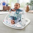 Portable Baby Chair Sit-me Up Floor Seat Pacific Pebble Fisher-price