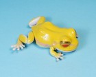Bandai The Diversity Of Life On Earth Albino Yellow Japanese Tree Frog Figure