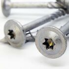  14 X 3-1 2  Construction Lag Screws Ctx Structural Timber Star Drive Type 17 Pt