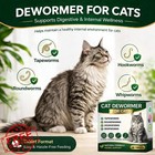 Otess Cat Dewormer 48 Tablets