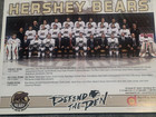Ahl Hershey Bears Vintage 2015-2016 Color Hockey Team Photo