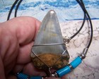 Great White Shark Tooth Necklace 1 7 8  Sharks Teeth Big Real Megalodon Fossil