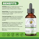 Mullein   Garlic Ear Oil     Organic Herbal Formula For Ear Comfort     1oz