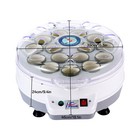 Automatic Pool Ball Snookers Cleaner Polisher Machine 16 Ball 