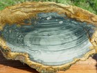 Tcr Blue Mountain Jasper  rough  Slab 379g     Natural Orb   Streamer   Oregon
