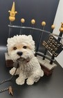 Vintage West Highland Terrier Figurine -the Leonardo Collection Good Home Wanted