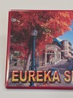 Eureka Springs Arkansas Travel Souvenir Fridge Magnet Bright Fall Tree