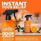 Angry Orange Pet Odor Eliminator For Dog   Cat Urine Carpet Stains  strong Smell