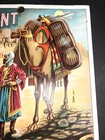 C1910 Calendar Sign Orient Insurance Hartford Conn Sheikh Camel Middle Eastern
