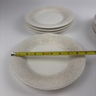Pioneer Woman Vintage Lace 12-piece Ceramic Dinnerware Set Linen Open Box