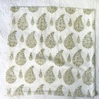 Pottery Barn 18x18 Cotton Pillow Cover White Green Blue Paisley Block Print Boho