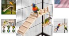 Bird Playground Birdcage Playstand Pet Bird Perch Platform Stand Parrot Play