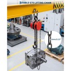 Manual 1 Ton Hand Chain Hoist 2200 Lbs 8 Ft Lift G70 Chain Block With 2 Hooks