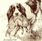 1930s Antique Springer Spaniel Print Gundog Trial Nina Scott Langley Art 4361b