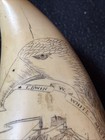 Faux Sperm Whale Tooth Scrimshaw Resin Black Eagle Artek Replica Museum Quality