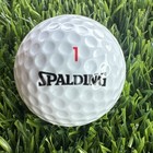 Genoa Lakes Country Club Golf Course Logo Golf Ball Nevada