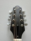 The Loar Lm-110-brb Honey Creek A-style Mandolin With Bag Vguc