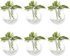 Hanging Wall Planters Pack Of 6 Glass Planter Pots Round Glass Flower Vases Hang